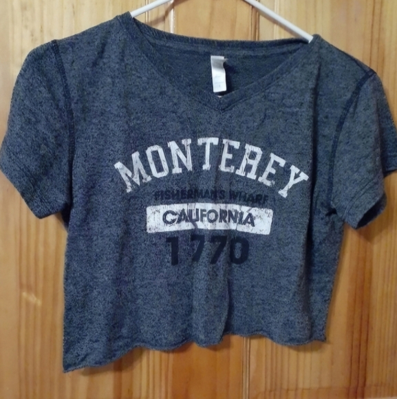 Teemax Tops - Distressed looking Juniors crop top gray white and black